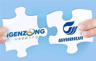 萬(wàn)華與億海藍(lán)聯(lián)手打造可視化物流，開(kāi)創(chuàng)數(shù)字供應(yīng)鏈管理新篇章