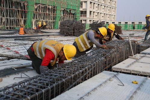 年味漸濃施工忙 濟南醫療器械產業基地一期定制化廠房沖刺三季度投產，助推建筑用鋼筋產品產銷兩旺